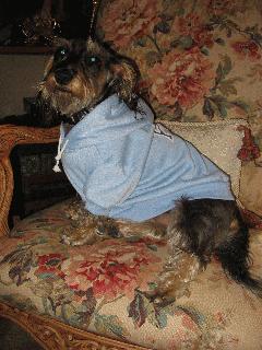 The UnaDachshund.jpg